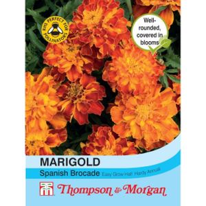 Thompson & Morgan Marigold Spanish Brocade (French)