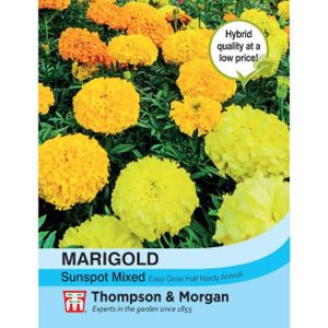 Thompson & Morgan Marigold Sunspot Mixed