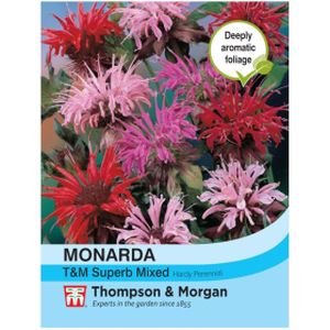 Thompson & Morgan Monarda Superb Mixed