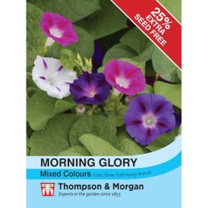 Thompson & Morgan Morning Glory Mixed Colours