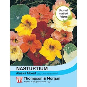 Thompson & Morgan Nasturtium Alaska Mixed