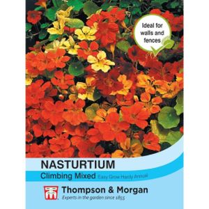 Thompson & Morgan Nasturtium Climbing Mixed