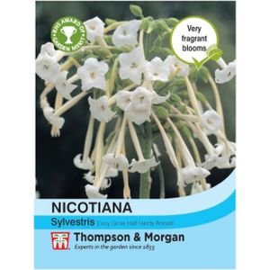Thompson & Morgan Nicotiana sylvestris