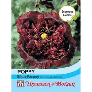 Thompson & Morgan Poppy Black Peony