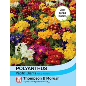 Thompson & Morgan Polyanthus Pacific Giants Mixed