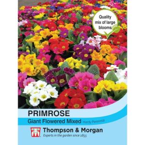 Thompson & Morgan Primrose Thompson & Morgan Special Giant Flowered Mixed