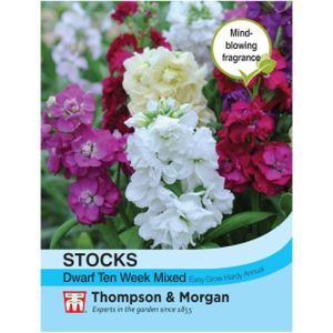 Thompson & Morgan Stocks Dwarf Ten Week Mixed
