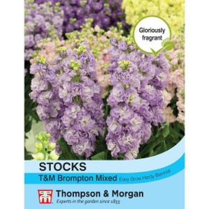 Thompson & Morgan Stocks Thompson & Morgan Brompton Mixed