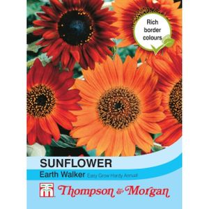 Thompson & Morgan Sunflower Earth Walker