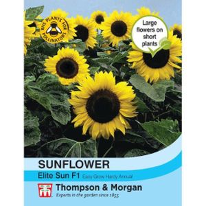Thompson & Morgan Sunflower Elite Sun F1 Hybrid