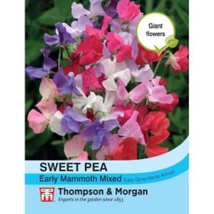 Thompson & Morgan Sweet Pea Early Mammoth Mixed Seeds