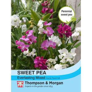 Thompson & Morgan Sweet Pea Everlasting Mixed