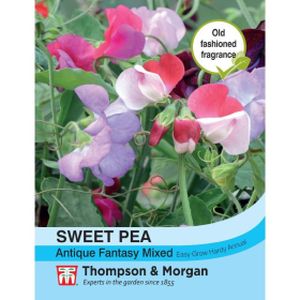 Thompson & Morgan Sweet Pea Antique Fantasy Mixed