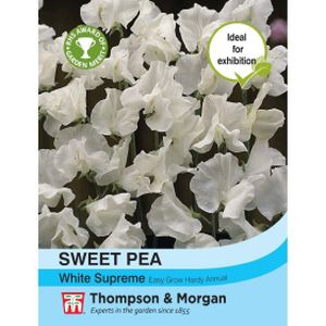 Thompson & Morgan Sweet Pea White Supreme