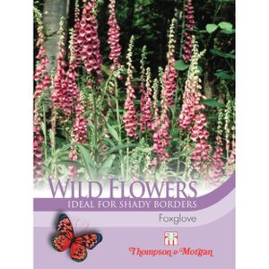 Thompson & Morgan Wildflower Foxglove Wild