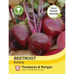 Thompson & Morgan Veg Beetroot Boltardy