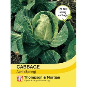 Thompson & Morgan Veg Cabbage April (Spring)