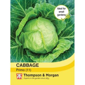 Thompson & Morgan Veg Cabbage Primo