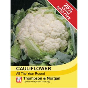 Thompson & Morgan Veg Cauliflower All The Year Round