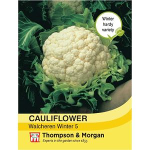 Thompson & Morgan Veg Cauliflower Walcheren Winter Pilgrim