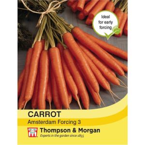 Thompson & Morgan Veg Carrot Amsterdam Forcing