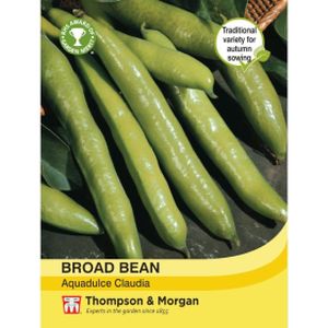 Thompson & Morgan Veg Broad/Fava Bean Aquadulce Claudia