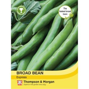 Thompson & Morgan Veg Broad/Fava Bean Express