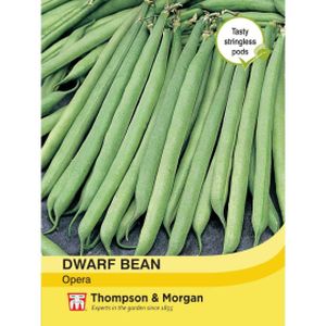 Thompson & Morgan Veg Dwarf Bean Opera