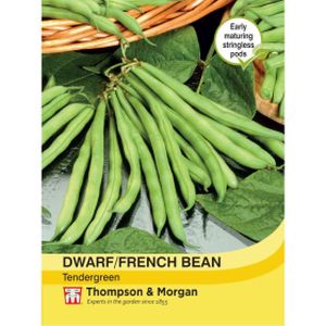 Thompson & Morgan Veg Dwarf Bean Tendergreen