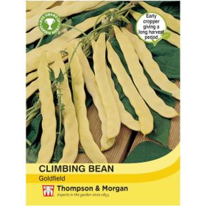 Thompson & Morgan Veg Climbing Bean Goldfield