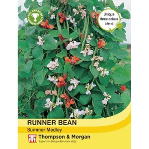 Thompson & Morgan Veg Runner Bean Summer Medley (Clr Flwrd Mix)