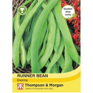 Thompson & Morgan Veg Runner Bean Enorma