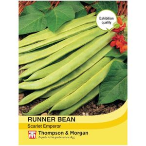 Thompson & Morgan Veg Runner/Pole Bean Scarlet Emperer
