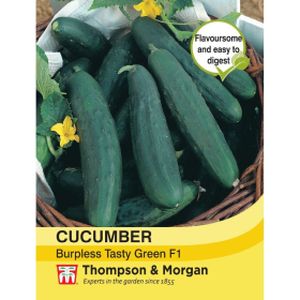 Thompson & Morgan Veg Cucumber Burpless Tasty Green F1 Hybrid