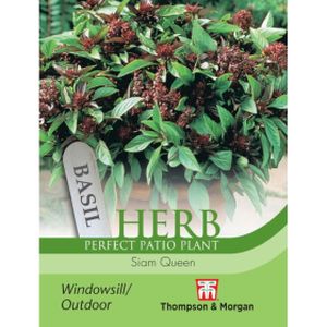 Thompson & Morgan Herb Basil Siam Queen Seeds