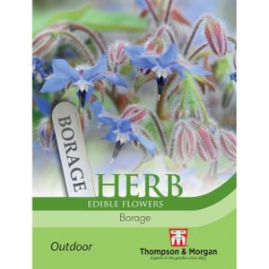 Thompson & Morgan Herb Borage Seeds