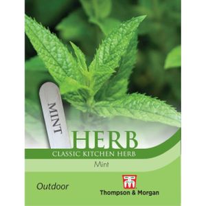 Thompson & Morgan Herb Mint Seeds (Peppermint)