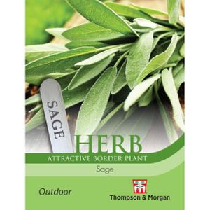 Thompson & Morgan Herb Sage Seeds