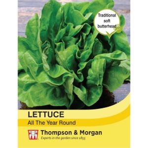 Thompson & Morgan Veg Lettuce All The Year Round