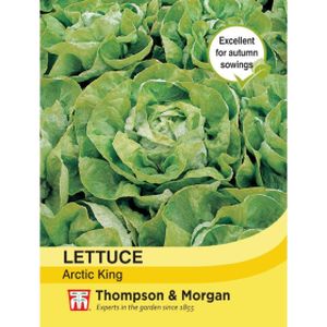 Thompson & Morgan Veg Lettuce Artic King