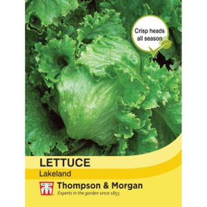 Thompson & Morgan Veg Lettuce Lakeland