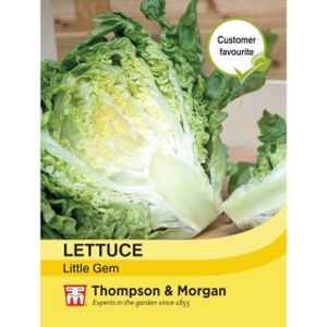 Thompson & Morgan Veg Lettuce Little Gem