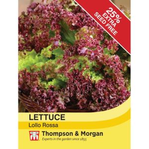 Thompson & Morgan Veg Lettuce Lollo Rossa