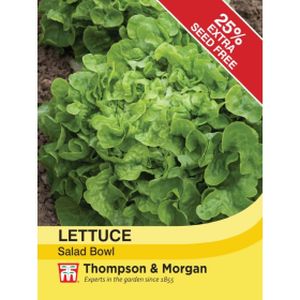 Thompson & Morgan Veg Lettuce Salad Bowl