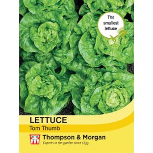Thompson & Morgan Veg Lettuce Tom Thumb