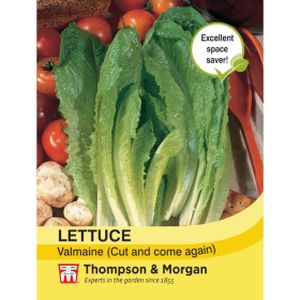 Thompson & Morgan Veg Lettuce Valmaine (Cut & Come Again)