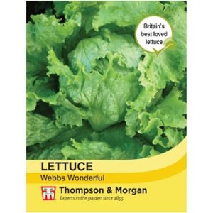 Thompson & Morgan Veg Lettuce Webbs Wonderful