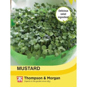 Thompson & Morgan Veg Mustard