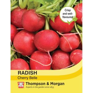 Thompson & Morgan Veg Radish Cherry Belle