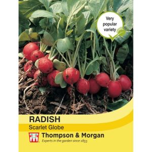 Thompson & Morgan Veg Radish Scarlet Globe